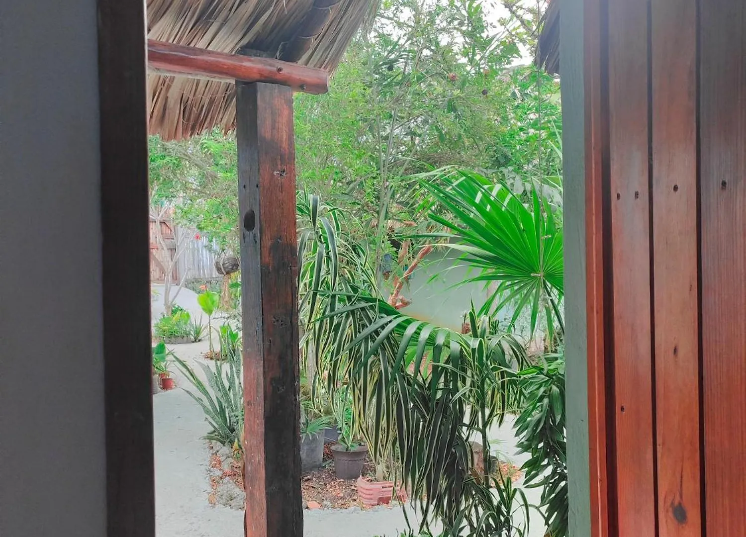 Las Palmas Bacalar