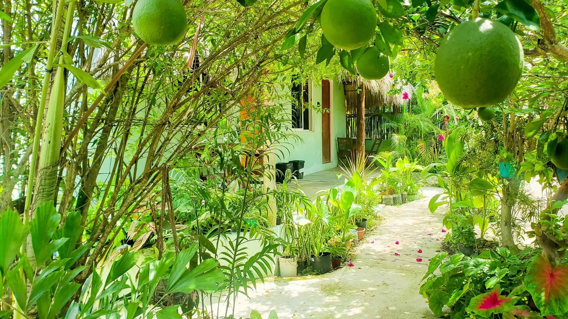 Las Palmas Bacalar Μεξικό